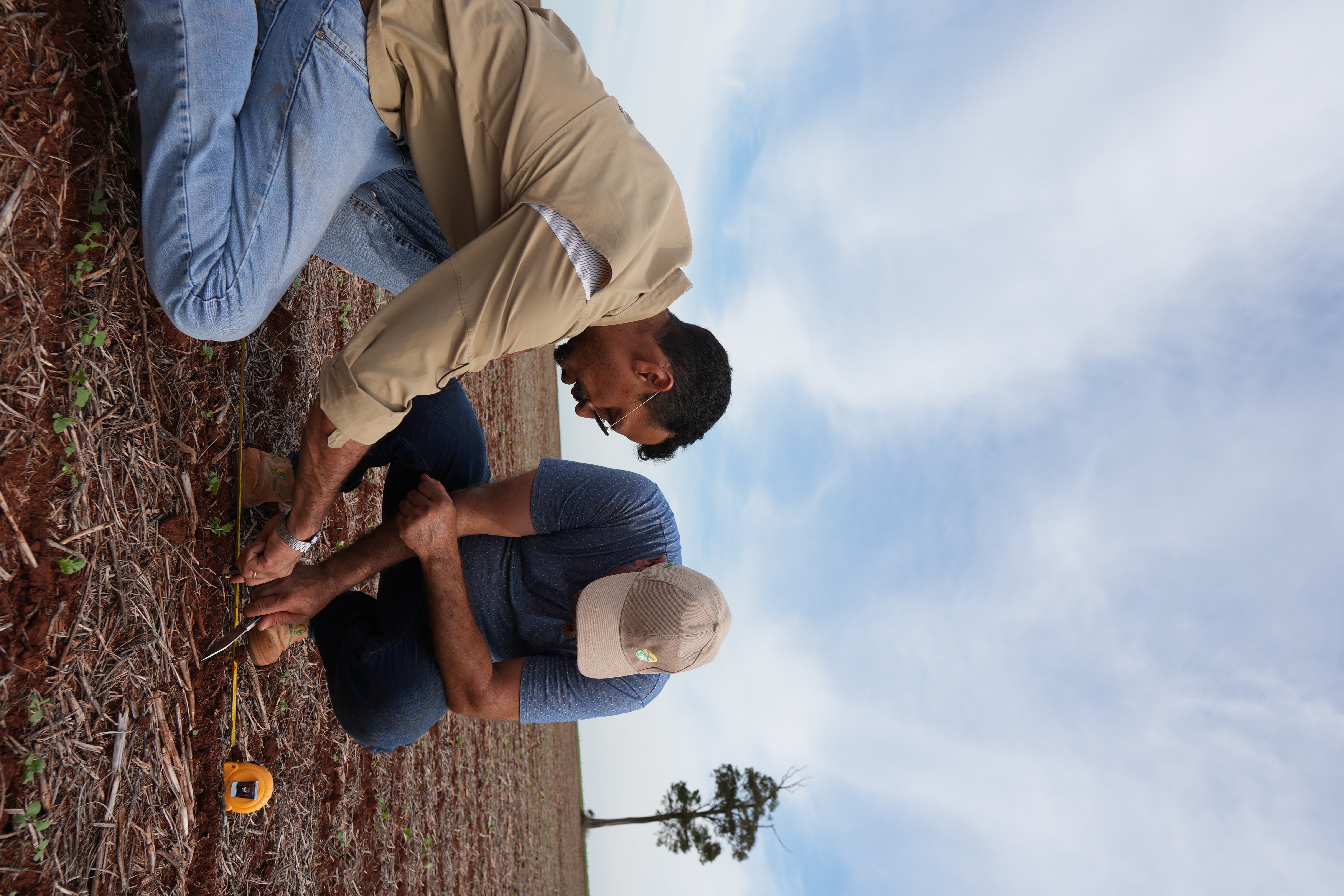 Técnicos de CW evaluando a campo