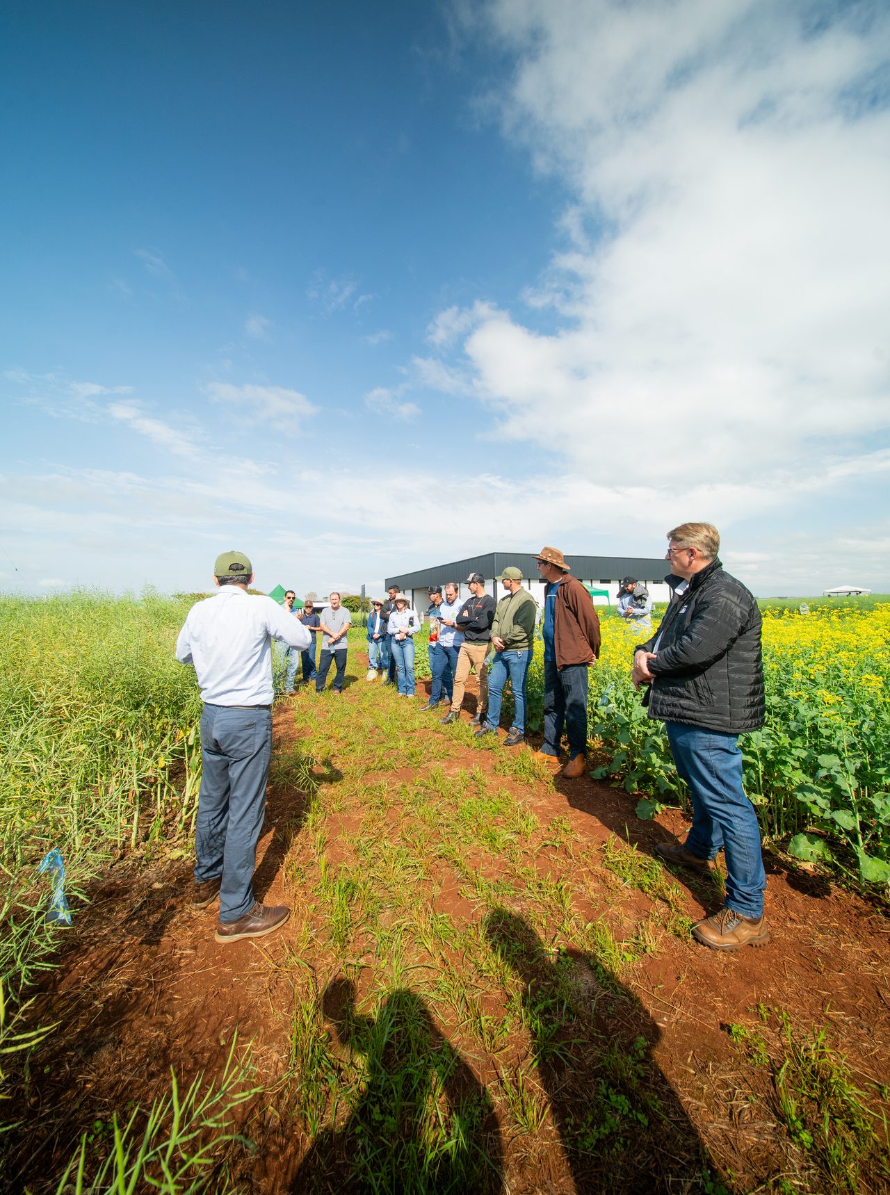 Día de campo de CW Trading en parcela de canola